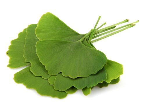 Varicone contains gingko biloba