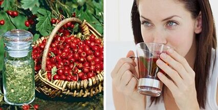 Folk remedies for varicose veins in the legs